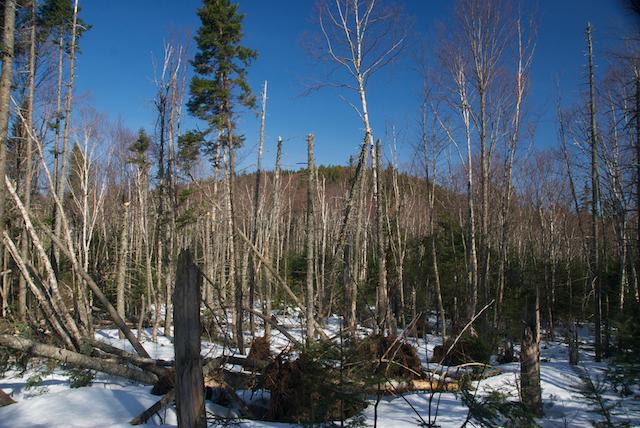 snow on ridge