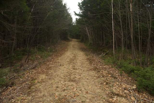 Trail begins flat