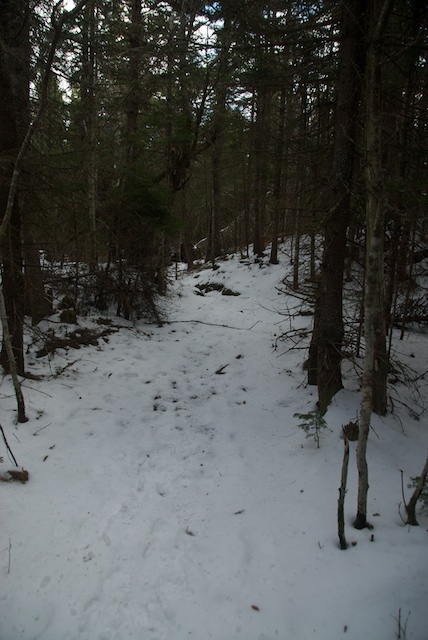 Icy trail