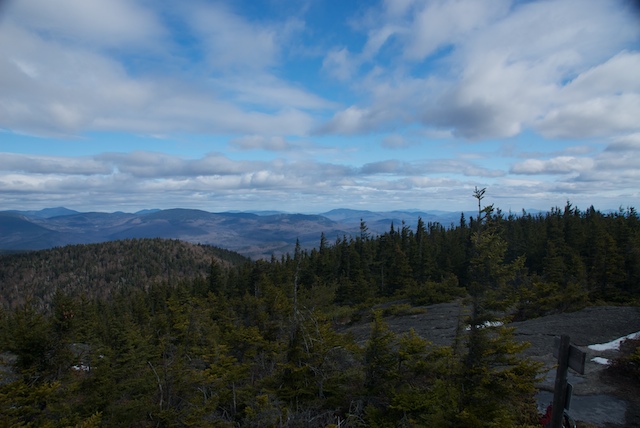 Caribou view